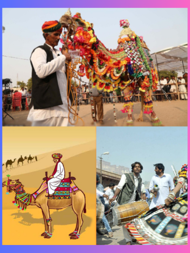 महोत्सव राजस्थान(1)