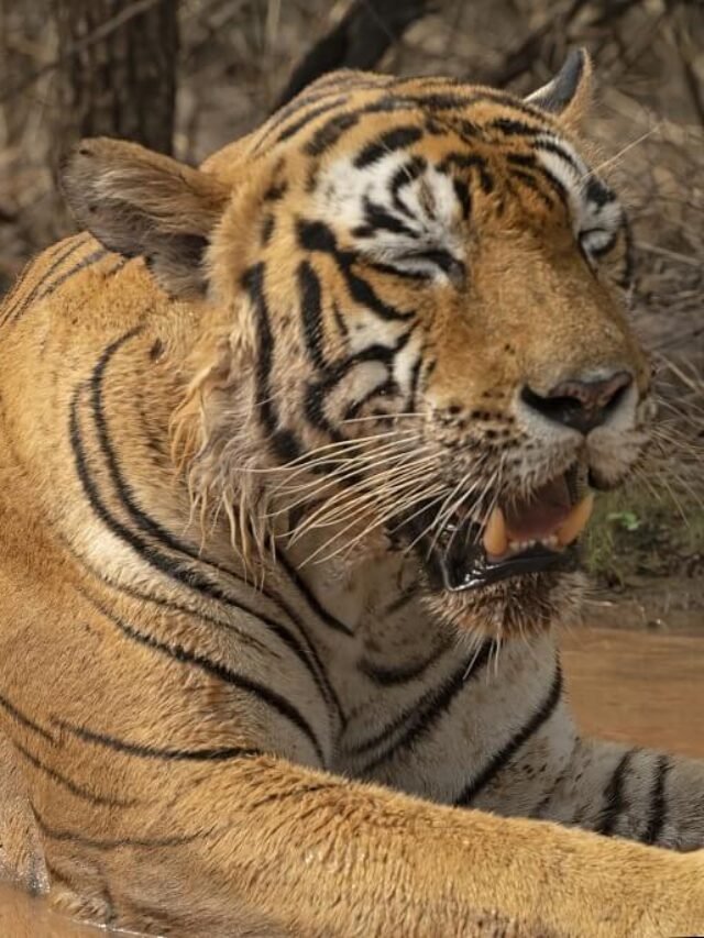 117112283_2842204255885746_1617927828901017421_n (1)