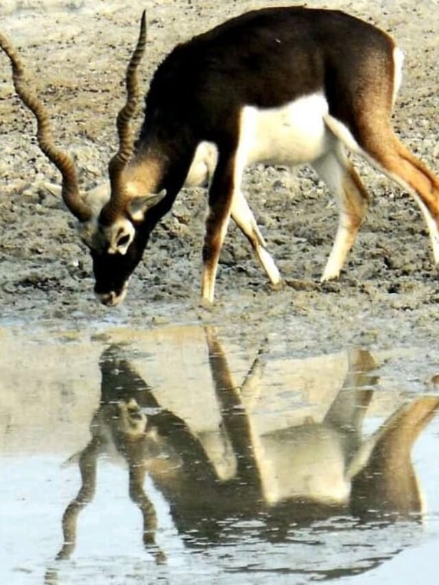 246905777_248036527284361_2235723648052137346_n