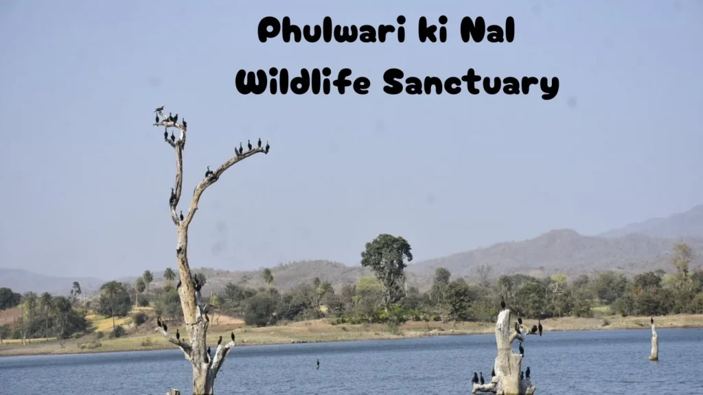 Phulwari ki Nal Wildlife Sanctuary