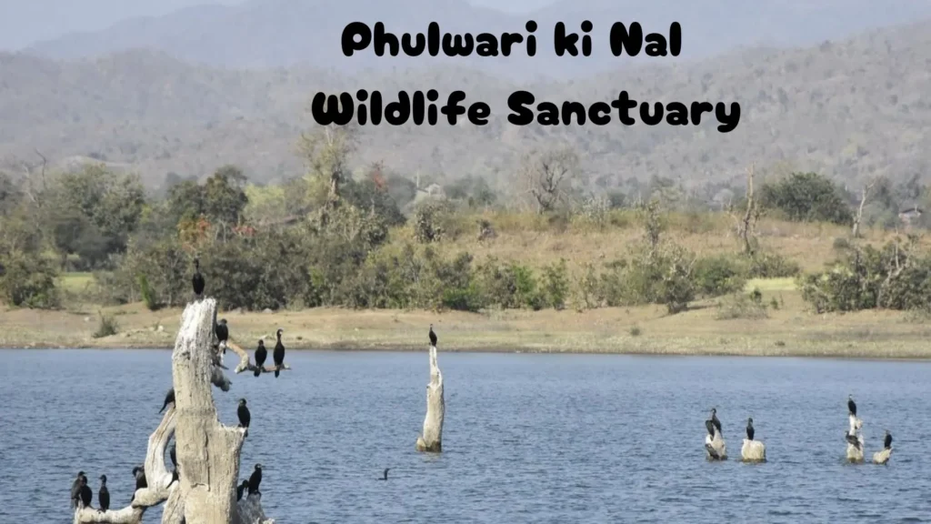 Phulwari ki Nal Wildlife Sanctuary