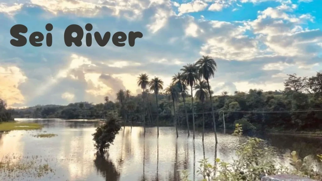 Sei River Kotra