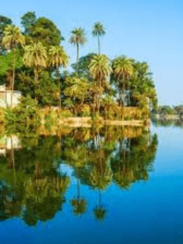 images (1)